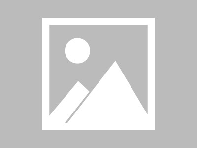 从佛教文化到现代城市，一场文化之旅