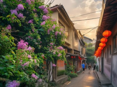 南投、新竹、台中、高雄这些地方都位于台南市附近，交通便利，适合居住，距离城市中心和周边景点也比较近。