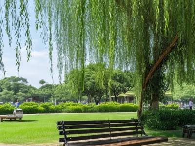 忠县人民公园最值低价