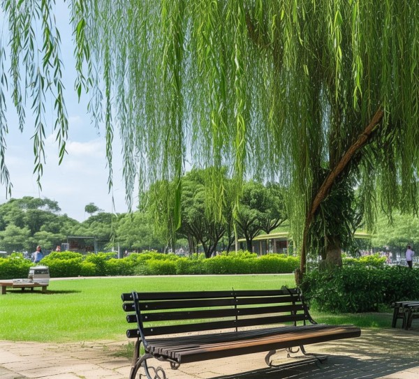 忠县人民公园最便宜 忠县人民公园最便宜