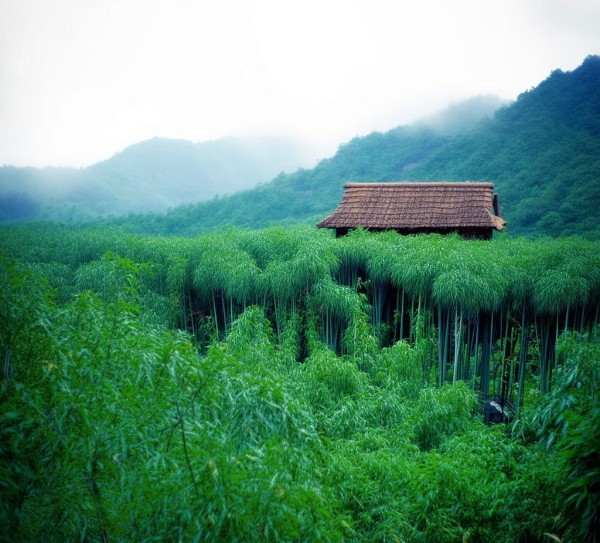 溧阳竹海,竹林深处的诗意栖居地,住在哪里才不辜负这方山水? 溧阳竹海,竹林深处的诗意栖居地,住在哪里才不辜负这方山水?